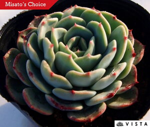 OVXXEB@GPxA@A@9cm|bgϗtA G  CeA 炵  A ĕ T{e 