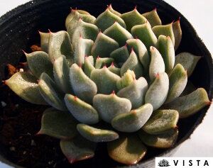 m}@GPxA@A@9cm|bgϗtA G  CeA 炵  A ĕ T{e 