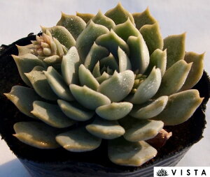 G\@GPxA@A@9cm|bgϗtA G  CeA 炵  A ĕ T{e 