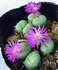 HʁiXCeL_}) RmtBc@A@9cm|bg