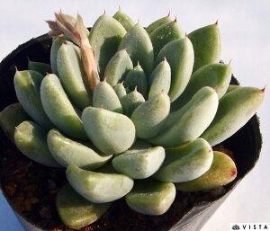 LVRg}lVX@GPxA@A@9cm|bgϗtA G  CeA 炵  A ĕ T{e 