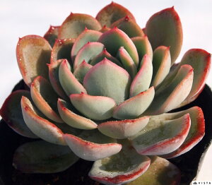 [jOf[@GPxA@A@9cm|bgϗtA G  CeA 炵  A ĕ T{e 