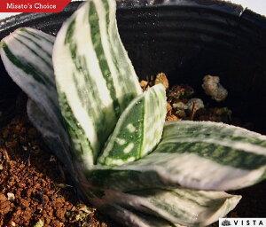 xmiTNtWj KXeA@A@9cm|bgϗtA G  CeA 炵 A  x eE |bg