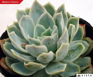 nC@ GPxA@A@9cm|bgϗtA G  CeA 炵  A ĕ T{e 