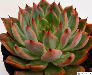 m}h@ GPxA@A@9cm|bgϗtA G  CeA 炵  A ĕ T{e 