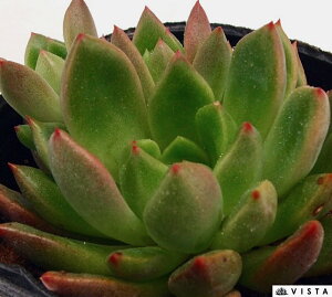 oeBbN @ GPxA@A@9cm|bgϗtA G  CeA 炵  A ĕ T{e 