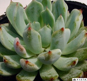 GU@ GPxA@A@9cm|bgϗtA G  CeA 炵  A ĕ T{e 