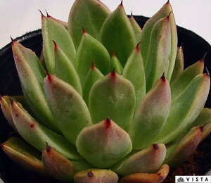 r[iX@ GPxA@A@9cm|bgϗtA G  CeA 炵  A ĕ T{e 