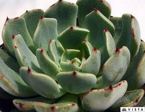 ~jmo@ GPxA@A@9cm|bgϗtA G  CeA 炵  A ĕ T{e 