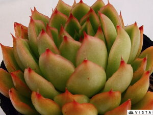 r[mo@ GPxA@A@9cm|bgϗtA G  CeA 炵  A ĕ T{e 