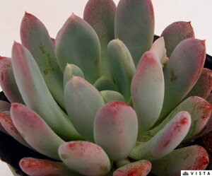 hE@ GPxA@A@9cm|bgϗtA G  CeA 炵  A ĕ T{e 