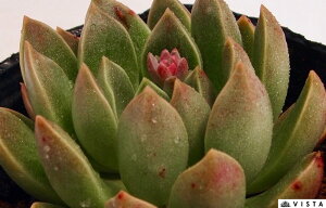 r@ GPxA@A@9cm|bgϗtA G  CeA 炵  A ĕ T{e 