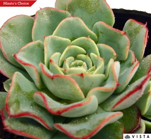 K[Yh[@ GPxA@A@9cm|bgϗtA G  CeA 炵  A ĕ T{e 