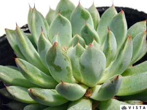 nC}@ GPxA@A@9cm|bgϗtA G  CeA 炵  A ĕ T{e 