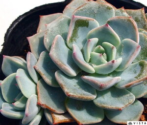 N[hl@ GPxA@A@9cm|bgϗtA G  CeA 炵  A ĕ T{e 