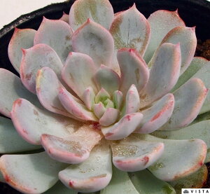 tBl@ GPxA@A@9cm|bgϗtA G  CeA 炵  A ĕ T{e 