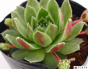 Anj[@ZyrE@A@9cm|bgϗtA G  CeA 炵nA A q  gt