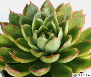 r[moyfbNXz GPxA@A@10.5cm|bgϗtA G  CeA 炵  A ĕ T{e 