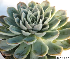 GKXXx[yfbNXzGPxA@A@10.5cm|bgϗtA G  CeA 炵  A ĕ T{e 