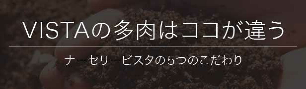 ビスタのこだわりについて詳しくはこちら