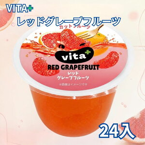 ���b�h�O���[�v�t���[�c �V���b�v�Ђ� 170g×24�� VITA+ �r�^�v���X �O���[�v�t���[�c �t���[�c�J�b�v �ʕ� �������� �f�U�[�g �X�C�[�c �r�^�~��C �w���V�[ �R�X�g�R �O���V�� ���I�ʎ� ������
