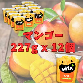 【数量限定】ビタプラス マンゴー 227gX12個入 フルーツギフト くだものギフト 送料無料 フルーツ スイーツ くだもの まとめ買い ビタミンC VITA VITA+ ギフト 風邪予防 コストコ グレシラ 厳選果実