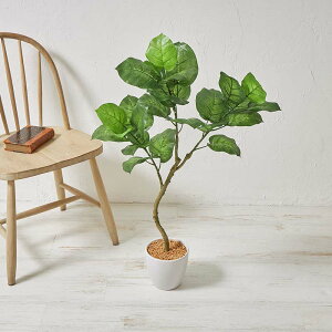 �t�F�C�N�O���[�� �ϗt�A�� ��100cm �E���x���[�^�c���[ ���G�}���H ���L �R�� ��`�^�� ������s�v �͂�Ȃ� �C���e���A ���� ���� ���� �G���g�����X �X�� �V���b�v �I�t�B�X �����b�N�X ��