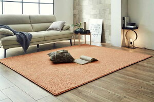 �I�[�_�[�J�[�y�b�g �T���e�B�G ��200×300cm �R�� ���L ���� ���O �J�[�y�b�g �h�� �A�����L���b�`���[ �R�A�������� �ԕ� PM2.5 �n�E�X�_�X�g �_�j�΍� �V���M�[ ���n ���{�� ��3.9��