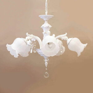 NVJVfAy5zO[X II zCgubVS[h LEDdΉ E26 NVbN AeB[N Pn CeA KX X Vbv T yATCz