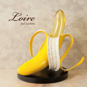 NEW Loire [ LED ^ oii