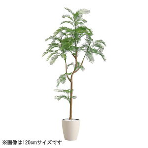 ȒPtFCNO[ Go[tbV STCY(120cm)