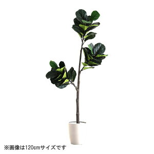 ȒPtFCNO[ tBJXE[^ MTCY(150cm)