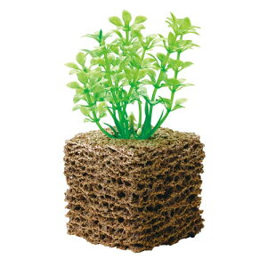 VoCIL[u Mы _J   ANAE