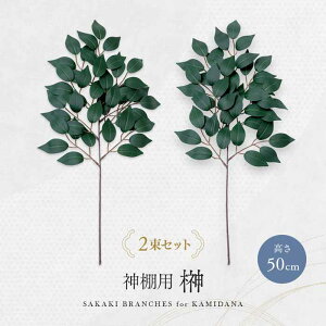 �_�I�p�� 2������ 50cm 1010579