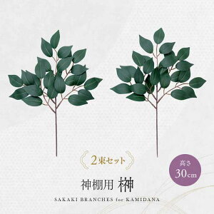 �_�I�p�� 2������ 30cm 1010578