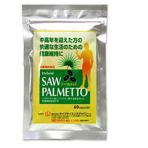 �钆�Ƀg�C���ŋN������ɂ����߁w�\�[�p�����b�g�x