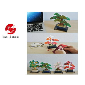 ~ kami-bonsai y[p[Ntg  ڂ񂳂 ~́y[ z