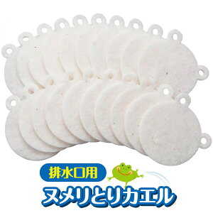 �r�����p�k�����Ƃ�J�G�� 20�� �V���N �S�~�J�S �S�~�� ������ �r���ǂ̉���h�~ �l�܂�h�~