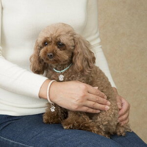 ÓdCh~ ÓdCd uXbg LL`[ ybglbNX  L duXbg ÓdC΍ ^ ^ ^ ANZT[ I[i[  s