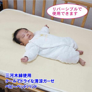 Q O͖ؖȎgp N[ŃhCȐK[[xr[xbhpbh 120×70cm  Ԃ zc V[c ~pbh ڐG⊴ Mі Qꂵ ΍ Ƃ  x^x^ TT