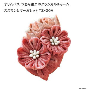 IpX ܂ݍ׍H̃NVJ`[ XYƃ}[Kbg TZ-20A sNn Ҍ |Lbgy[ z