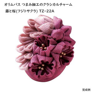 IpX ܂ݍ׍H̃NVJ`[ ƍ(tWgTN) TZ-22A sNn Ҍ |Lbgy[ z