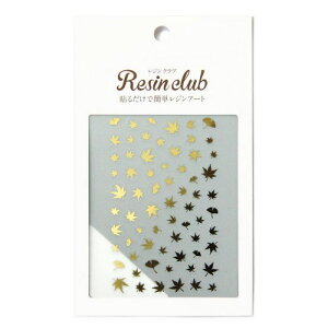 WNu WV[ gt S[h RC-MMJ-102 ݂ H  JGf C`E    Ȃ₩ i iʗXցj