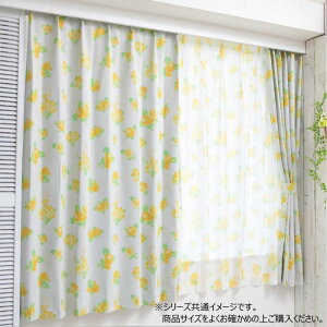 fBYj[ Ɩb x h[vJ[e2Zbg 100×200cm SB-634-D