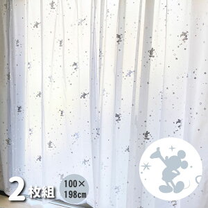 fBYj[ ~bL[ [XJ[e 2g 100×198cm SB-580-D