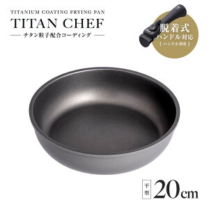 `^VFtEnhtCp 20cm 1010050 肪O łɂ  d˂  H l [ nhʔ