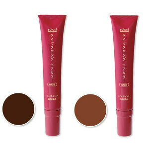 NCbNO wAJ[ {     у^Cv s|Cgɓh