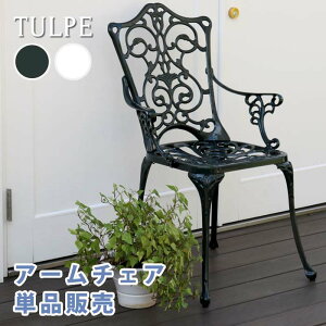 A~A[`FAPi̔ugyvy@ȒPg@K[fe[u@_[NO[@eX@@EbhfbL@֎q@A~@AeB[N@NVJ@COb