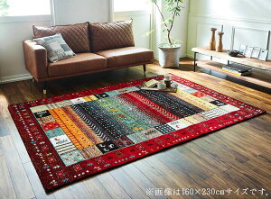 �R�� �h�L ���L ���O �J�[�y�b�g �C�r�T �E�B���g���D�� �����` ��80×140cm �g���R�� �M���b�y�����O �z�b�g�J�[�y�b�g�Ή� ���g�[�Ή� ���b�h �A�C�{���[ �u���E�� �l�C�r�[�y���������z����
