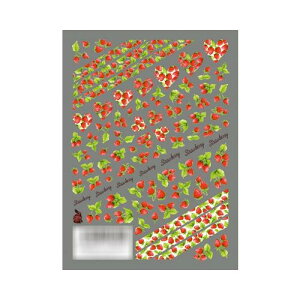 TSUMEKIRA(cL) lCV[ _J]vf[X4 C`SE NN-PRD-504  Ȃ₩ i iʗXցj